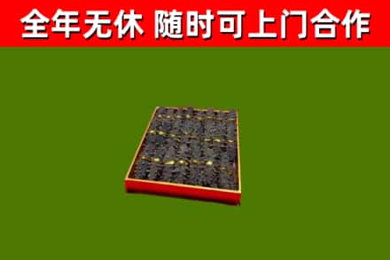 祁连回收海参